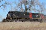 IC 1019 1008